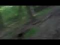 Team Easy Company Paintball: Tommy Hunted