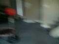 Jumping of a mini trampline over a punching bag