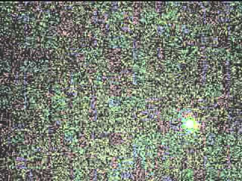 how to find orion's belt in the sky