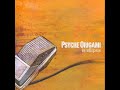 Psyche Origami - At Last