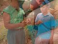 Agro and Eco holidays in Gozo Agro and Eco holidays in Gozo