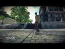 ea skate. (two)