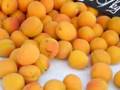 markets of provence