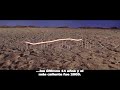 Trailer Una Verdad Incómoda