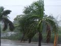 Paloma pre hurricane 2008 cayman-islands
