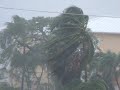 Paloma pre hurricane 2008 cayman-islands