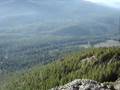 clearcutting mount benson