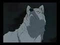 Wolf\