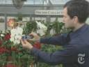 Technology: The Motorola/Kodak Phone/Camera