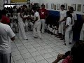 Professor Peixe SP