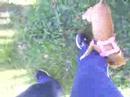kika en el parque