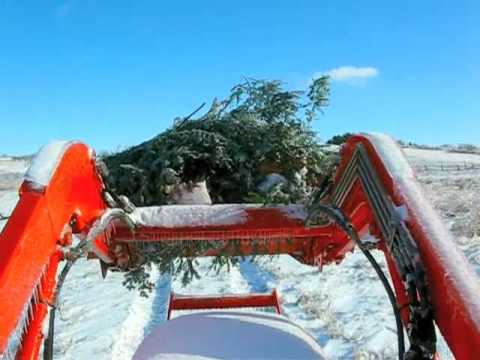 TRACTOR RIDE WITH GARLAND BOUGHS