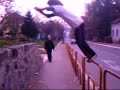 Fast Action