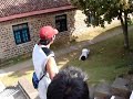David with really high jump JACKASS