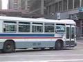 ChicagoBus.org: Chicago 7300-series MAN Articulated