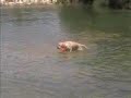 Tula en Lled�