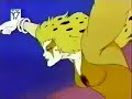 Toonami Thundercats TOM1 Oldie Intro