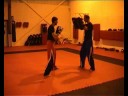 Jab, Reverse, round house combo + squat thrust