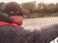 120 MPH Fast Boat Video