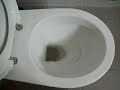 My toilet bowl My toilet bowl