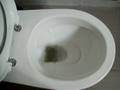videos de My toilet bowl