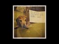 Dachshund Shaming Dachshund