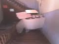 Tortue dans les escaliers