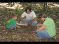 2007-Crops-Travel-Co