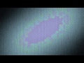 ACMD Open Meeting Oct 2011 (Audio only) Part 1