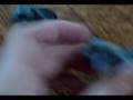 videos de magnetizing my warriors