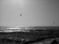 Dezoriental - Terra incognita: http://t.co/F5RxFSWSxa @youtube aracılığıyla