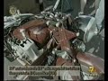 sfitladoura in tv su 7gold