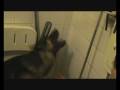 videos de Vito and the Shower