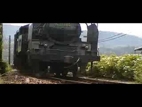 大井川鉄道　崎平のアジサイ②