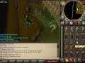 Runescape Monkey Madness Quest (Level 195 Demon) Stragedy
