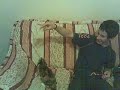 mon chat est débile mon chat est débile