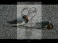 Elvedayla s�slenmi� bir yar�n�n d�n�ndeyim  SuSKuNN 