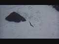 Jonathan Livingston Seagull - Skybird