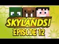 Hatventures - Skylands 12