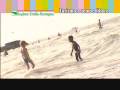 videos de Vetrina della sostenibilità: turismo e tempo libero (4)