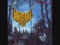 videos de Internal Decay - To Each His Own Pain