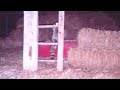 What we Found in the barn!