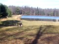 TRX 90 and CR 80 HONDA JUMPS