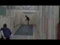 North cricket highlights