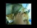 Wake Up