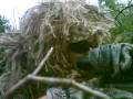 Me sniping on Nov 30th, 2008