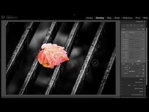 how to isolate color in lightroom