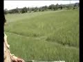 aman dikat haa aman dikat haa