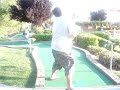 tiger alacar 