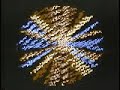 John Whitney Digital Harmony